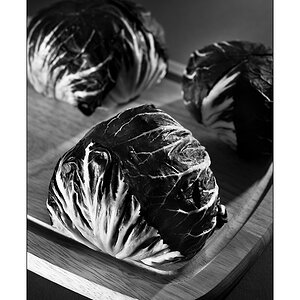 Radicchio 2