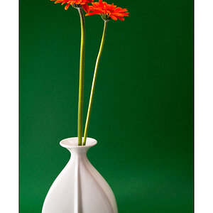 Orange Blume in weisser Vase
