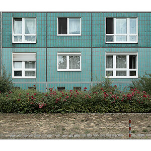 D2X 8996 online rahmen
