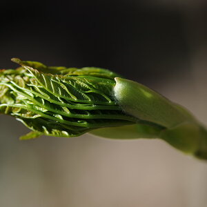 Bild 04