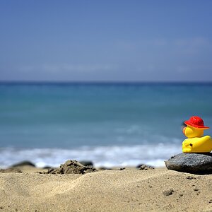 Ein Besuch am Strand durfte natürlich auch nicht gefällt haben