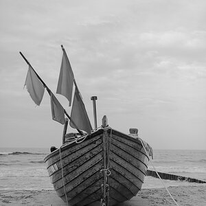 KOL 10 s/w