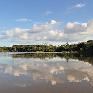 Rupununi
bei Karanambu
2661