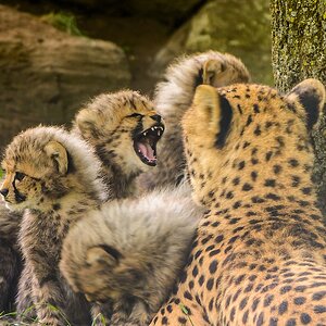 20130601 0382 [NIKON D7100] 400 mm,1 50 Sek. bei ƒ   4,5