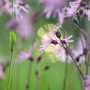 Bild7.3