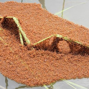 Ameisen
überschwemmte Savanne bei karanambu
0161