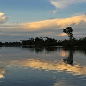 Rapununi 
bei Yupukari
6186