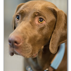 luna2
