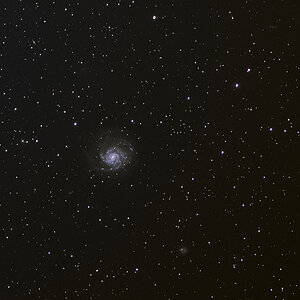 M51