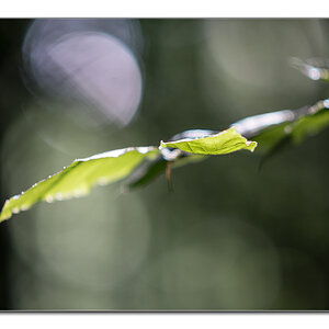 lighning1