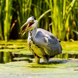 20130608  DSC1715 Bearbeitet1