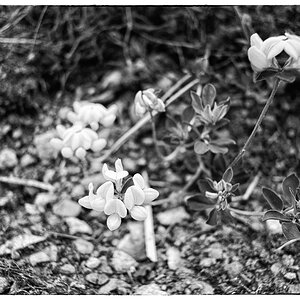 WegDSC 2590