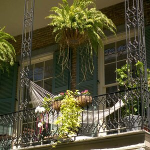 New Orleans