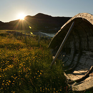 Sami Camp