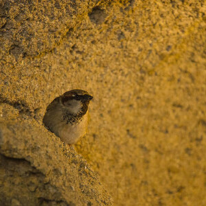 20130523 DSC 2509