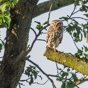 20130707 7167 [NIKON 1 V1] 340 mm,1 250 Sek. bei ƒ   6,3 2
