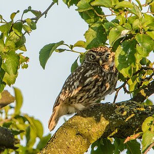 20130707 3174 [NIKON D7100] 850 mm,1 160 Sek. bei ƒ   10