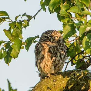 20130707 3232 [NIKON D7100] 850 mm,1 320 Sek. bei ƒ   7,1