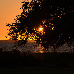 Sonnenuntergang am Limfjord