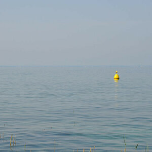 Der See