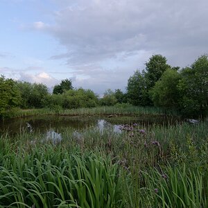 comp Natur 2013 001