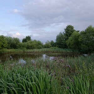 comp Natur 2013 002