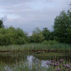 comp Natur 2013 001