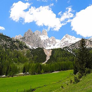 Berg 4