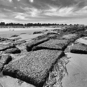Le Verdon 115 DxO