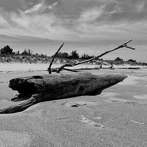 Le Verdon 125 DxO