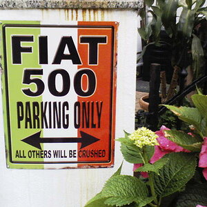 DSC00163 Fiat500 low