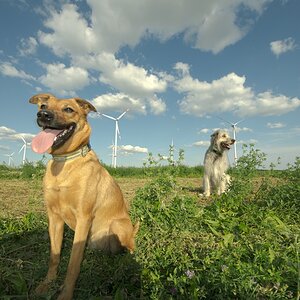 DSD9340 2c