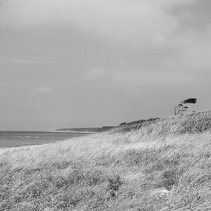 comp DSC 05081 1