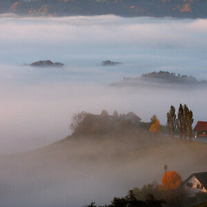 Südstmk336 2
Morgennebel in der südsteirischen Weintrasse