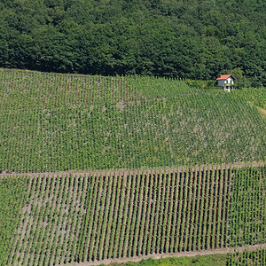 Trier 2013MOL 2800 9457