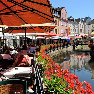 Trier 2013MOL 2817 9474