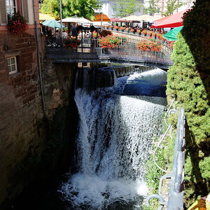 Trier 2013MOL 2824 9481
