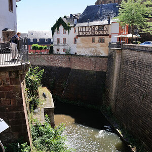 Trier 2013MOL 2825 9482
