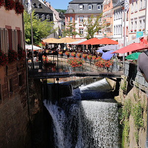 Trier 2013MOL 2827 9484