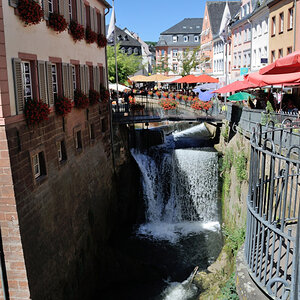 Trier 2013MOL 2829 9486