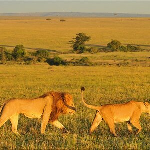 aacomp Kenia 20111018 19192