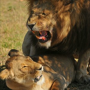 aacomp Kenia 20111022 31223