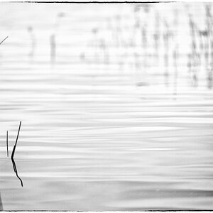 Lac PZ13433