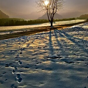Winterabend DSC8744 1
In Wildermieming am Mieminger Plateau (Tirol)