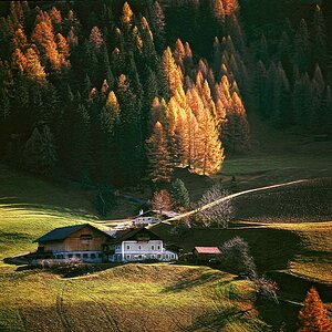 DV 66 LA 9   B2
Herbst irgenwo in der Steiermark