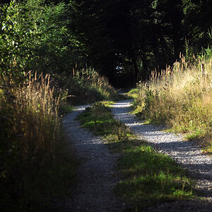 Weg