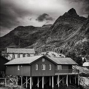 L1001543