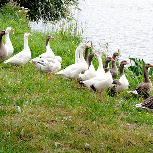 Trier 2013MOL 2562 9219