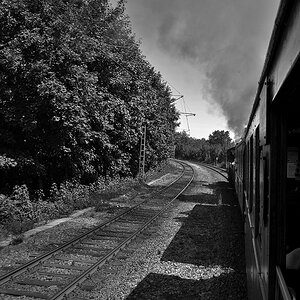 DSC0337 001 sw NF 1024px