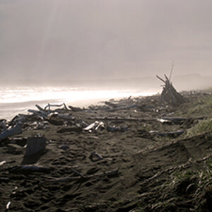 Wanganui - North Island